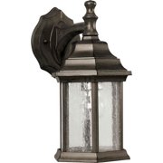 Forte Lighting 1 Light Outdoor Wall Lantern