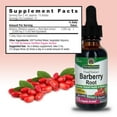 thumbnail image 6 of Nature's Answer Dried Barberry Root Extract, Berberine, 1 Oz for Immune Support, 6 of 6