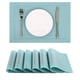 thumbnail image 1 of Placemat SHACOS - Set de 6 unidades (vinilo tejido, 45 x 30 cm), color turquesa, 1 of 9