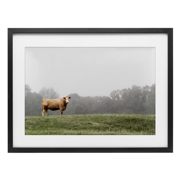 Stupell Industries Highland Grace Cattle Black Framed Print Under Glass design by J:L Design, 14 x 20