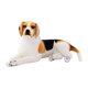 thumbnail image 4 of Muñeco de peluche de perro de dibujos animados, cómodo y suave, 30 cm, almohadas de peluche para Estilo F, 4 of 9