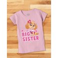 thumbnail image 4 of Paw Patrol Skye Big Sister Shirt Outfit Gift Toddler Kids Girls' Fitted T-Shirt 5T Lavender, 4 of 5