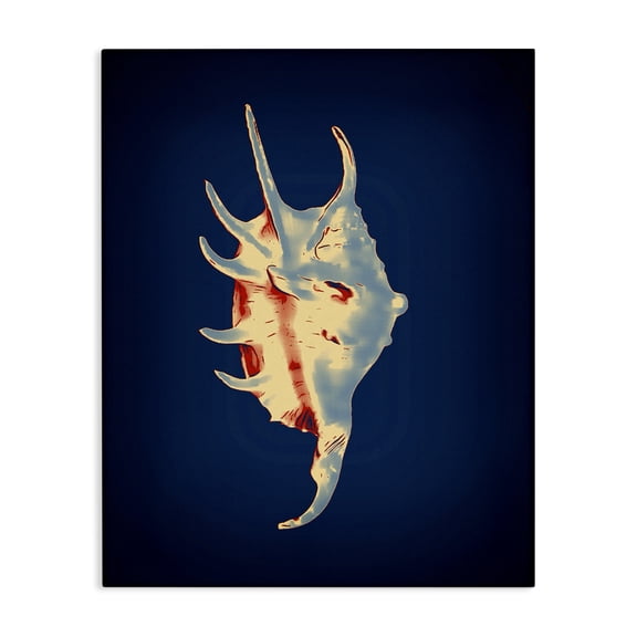 Stupell Industries Spider Conch on Blue Nautical & Beach Painting Wrapped Canvas Art Print Wall Art, 16 x 20