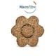 thumbnail image 5 of Galleta Flor Salvado Cocoa Macrofibra Integral Reducido en Azucar Vegano sin Lactosa Macrobiotico E Integral 5 Paq c/10 Pzas, 5 of 7