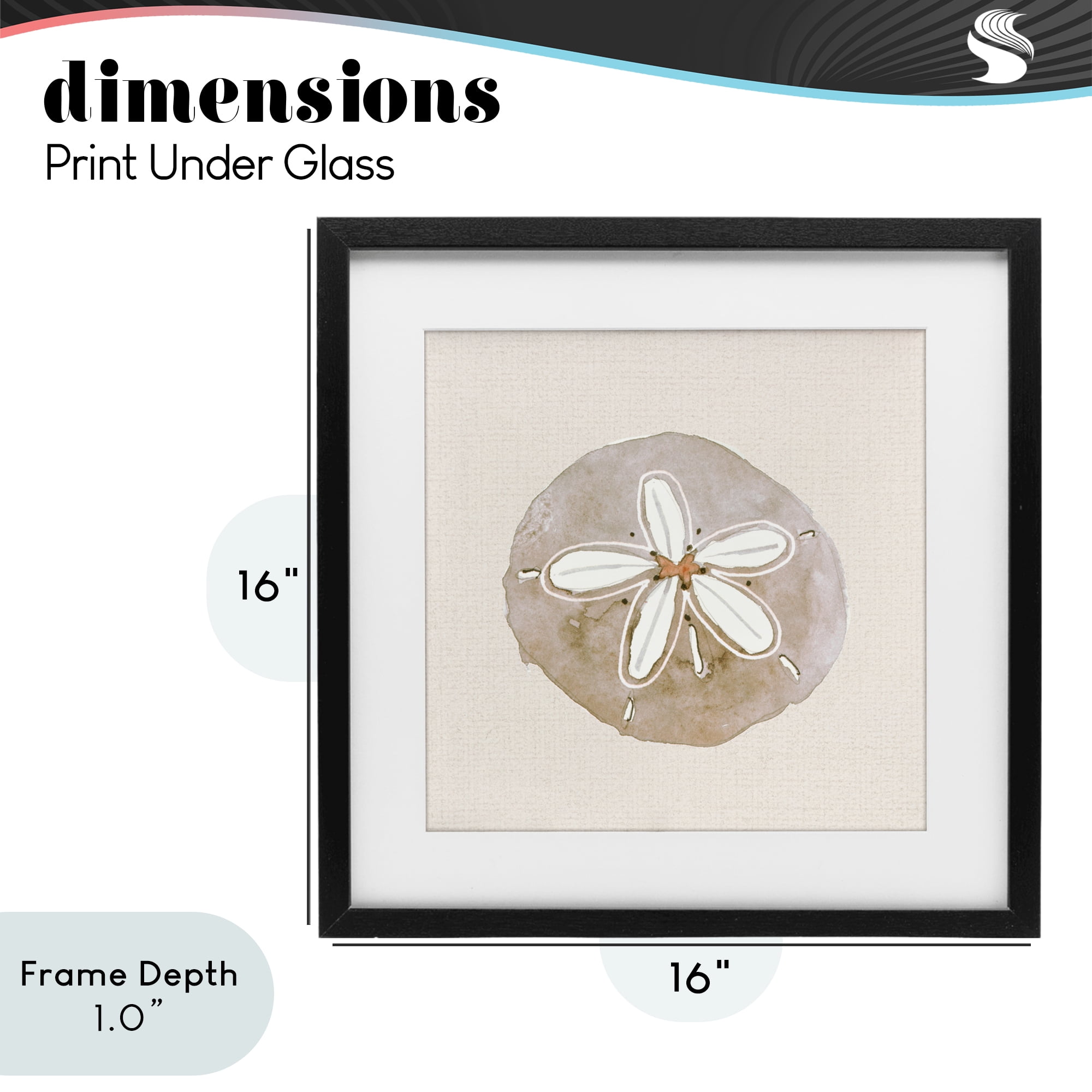 Stupell Industries Serene Beige Sand Dollar Black Framed Print Under Glass, design by Lanie Loreth