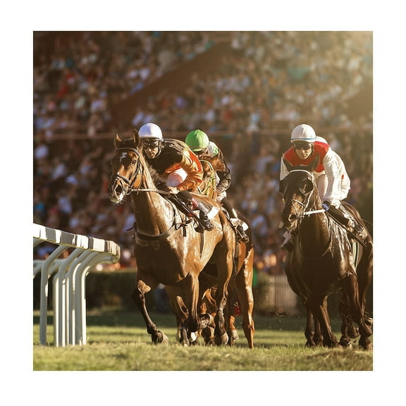 Derby Backdrop Banner, Party Decor, Party, 1 Pieces