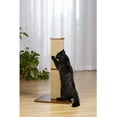 thumbnail image 2 of Prevue Pet Gemini Tall Square Scratching Post, 2 of 6