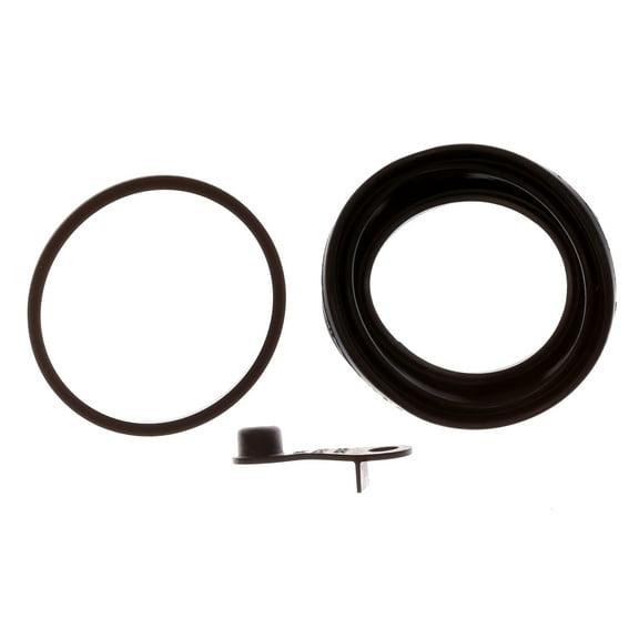"Raybestos Element3 Brake Caliper Seal Kit, WK462"