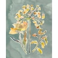 thumbnail image 2 of Zarris, Chariklia 15x18 White Modern Wood Framed Museum Art Print Titled - Collected Florals II, 2 of 4