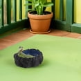 thumbnail image 4 of SHINYPASING Para Alimentación Y De Reptiles Con Ideal Para Terrarios, 4 of 8