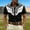 Black, variant on Mens Short Sleeve Graphic Shirts Western Vintage Print Button Down Tops 2026 Stylish Casual Comfort Classic Fit Shirt