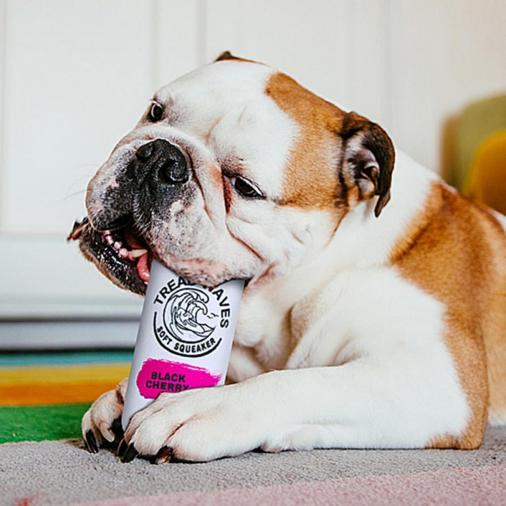 What Does It Mean When A Dog Squeaks