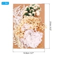 thumbnail image 2 of Unique Bargains Fleurs Séchées Naturelles Multiples Colorées Véritables Fleurs Pressées Séchées Plante Série Blanche, 2 of 5