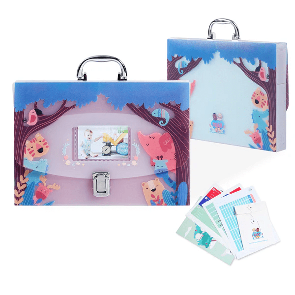 Blushy Baby Organisateur de Documents avec 12 Pochettes, Argent, 1 Unité