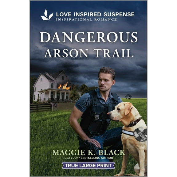 Unsolved Case Files Dangerous Arson Trail, Book 3, (Paperback)