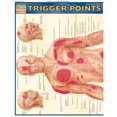 thumbnail image 1 of BarCharts- Inc. 9781423203162 Points de Déclenchement, 1 of 1