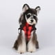 thumbnail image 4 of Large Pet Dog Jacket With Harness Winter Warm Dog Clothes For Small Dogs Waterproof Dog Coat Chihuahua French Bulldog Costumes ShopWise Round, 4 of 9