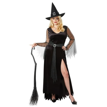 Rich Witch Women's Plus Halloween Costume