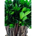 thumbnail image 4 of Bergamo Art Preserved 10 Inch Decorative Boxwood Standing Topiary Plant Green, 4 of 4