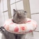 thumbnail image 4 of Collar de cono suave para gatos, conos suaves para evitar lamer, collar isabelino para gatitos, 4 of 8