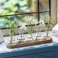 thumbnail image 5 of Propagation Station Glass Vases Decoration: 5 Plants Terrarium with White Washed Wooden Tray for Living Room Office, 5 of 5