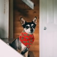 thumbnail image 1 of Hytrove Accesorio Para Mascotas Cómodo Y Lavable De Tela Triangular Estilo Bandana, 1 of 6