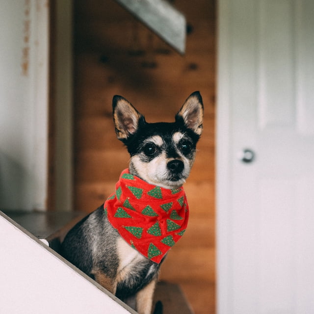 Hytrove Accesorio Para Mascotas Cómodo Y Lavable De Tela Triangular Estilo Bandana