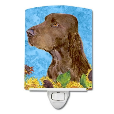 Caroline's Treasures SS4159CNL Field Spaniel in Summer Flowers Ceramic Night Light, 6x4x3", multicolor