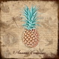 thumbnail image 2 of Lavoie, Tina 20x20 Gold Ornate Wood Framed with Double Matting Museum Art Print Titled - Ananas Comosus, 2 of 4