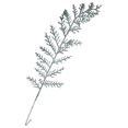 thumbnail image 2 of 13 inch Christmas Silver Leaf Floral Picks - Artificial Stem Spray for Crafts Party Home Decoration Wreath (Set of 10) - Silver Leaf, 2 of 3