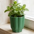 thumbnail image 3 of Mainstays Arlo 4" x 4" x 4" Round Green Lily 100% Recycled Resin Planter, 3 of 10