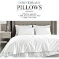 thumbnail image 5 of Down Dreams Classic Queen Pillow, 5 of 8