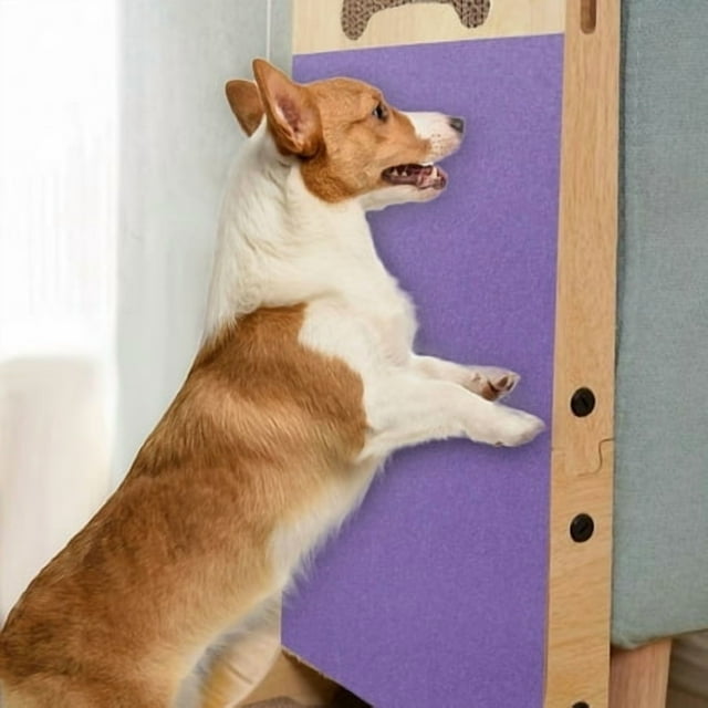 Dog Nail Scratching Plate Durable Grinding Tool for Filing Toy Indoor Use All Breeds Training Accessory