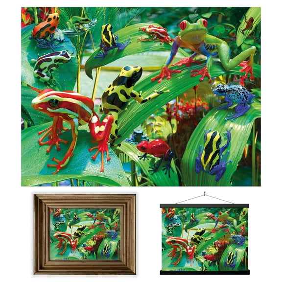3D LiveLife Lenticular Wall Art Funky Frogs – Unframed 3D Animal Poster by David Penfound