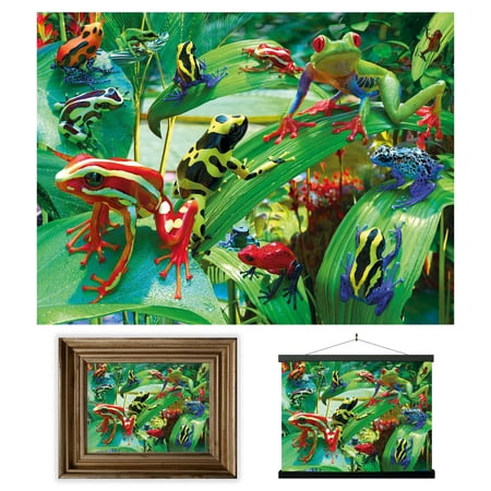 3D LiveLife Lenticular Wall Art Funky Frogs – Unframed 3D Animal Poster by David Penfound