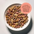 thumbnail image 6 of (2 pack) Meow Mix Gravy Bursts, Savory Salmon Flavor Kibble Mix, Gravy Filled Dry Cat Food, 13.5 lb. Bag, 6 of 11