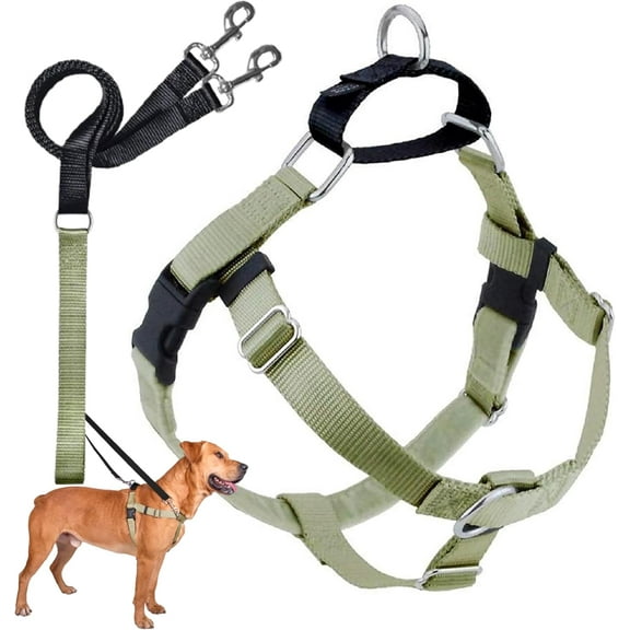 2 Hounds Design Freedom No Pull Dog Harness 1" Medium Tan