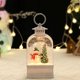 thumbnail image 1 of Linterna plástica del globo del agua de la nieve de la Navidad de los regalos de las luces de las lámparas de la Navidad de la venta al por mayor de la fábrica SUPERIOR, 1 of 4
