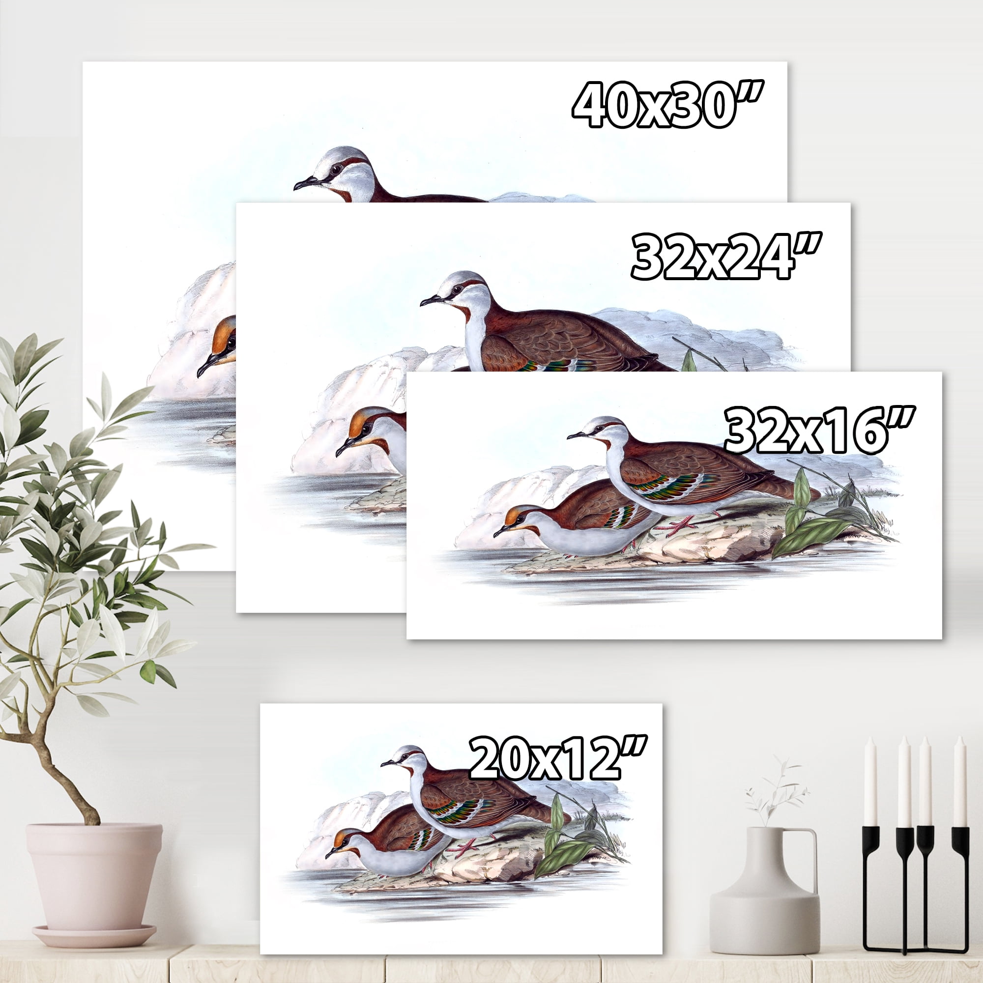 Ancient Australian Birds IX 12 in x 8 in Painting Canvas Art Print, by Designart