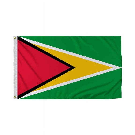 Promopatriot Guyana Country Flag 3x5 Ft Outdoor Nylon Double Stitched Edges Canvas Header Brass Grommets 3'x5' Guyana