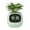 A, variant on Flowerpots with Dish Ceramic, Smart Flowerpots with Artificial Intelligence Time Temperature Display and Numerous Expressive Animatio Ns Based on The Environment, Flower Pots