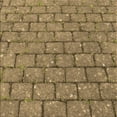thumbnail image 1 of Ahgly Company Machine Washable Indoor Square Transitional Red Brown Area Rugs, 5' Square, 1 of 7