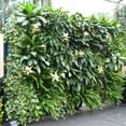 thumbnail image 2 of PBPBOX Non Woven Planting Bag Wall Mounted Vertical Garden Planter for Balcony Patio Black, 2 of 8