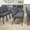 Dark Gray Fabric/Silver Vein Frame, variant on BizChair 4 Pack 21''W Church Chair in Dark Gray Fabric - Silver Vein Frame