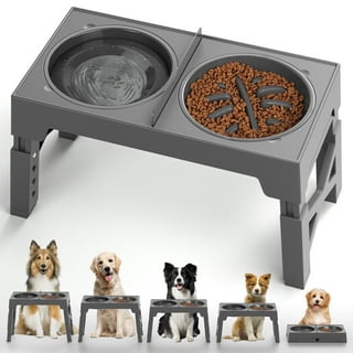 Elevated dog bowls walmart best sale