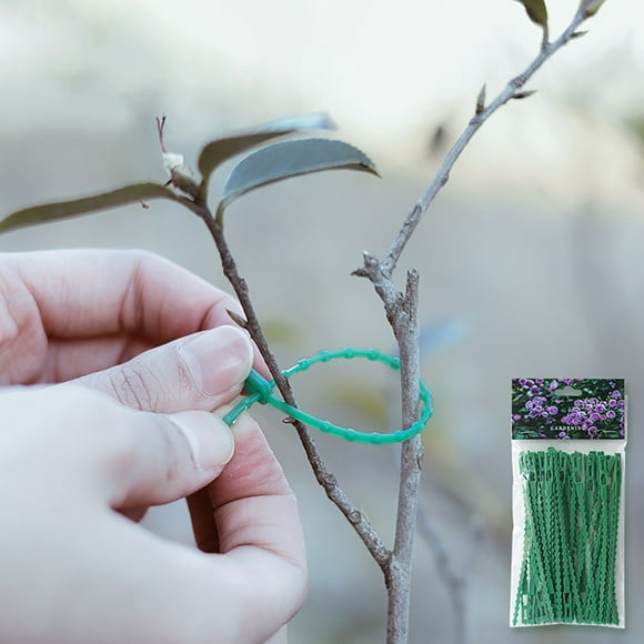 50PCS Vine Garden Fixed Ties Tie Wire Gardening Practical Tools Fishbone Modeling Ties Paper Clips Big Food Storage Bag Clips 12 Hair Clips Clips for Thin Hair Mighty Clip Food Storage Bag Clip Chip