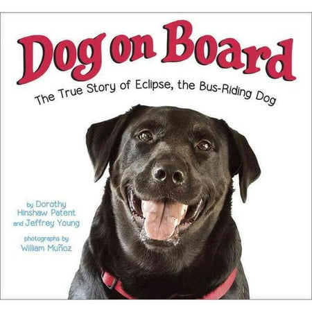 dogs and the eclipse on board the true story of eclipse the walmart dogs and the eclipse on board the true story of eclipse the walmart
