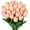 Light Pink, variant on Vorkoi 30PCS Artificial Tulip Flowers - 13.7" Real Touch Fake PU Tulips Bouquet Faux Spring Flowers for Floral Arrangements Table Centerpiece Kitchen Home Mothers Day Easter Decorations