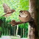 thumbnail image 5 of Refugio natural para aves 12cm - Refugio decorativo de anidación de material natural para periquitos canarios, 5 of 8