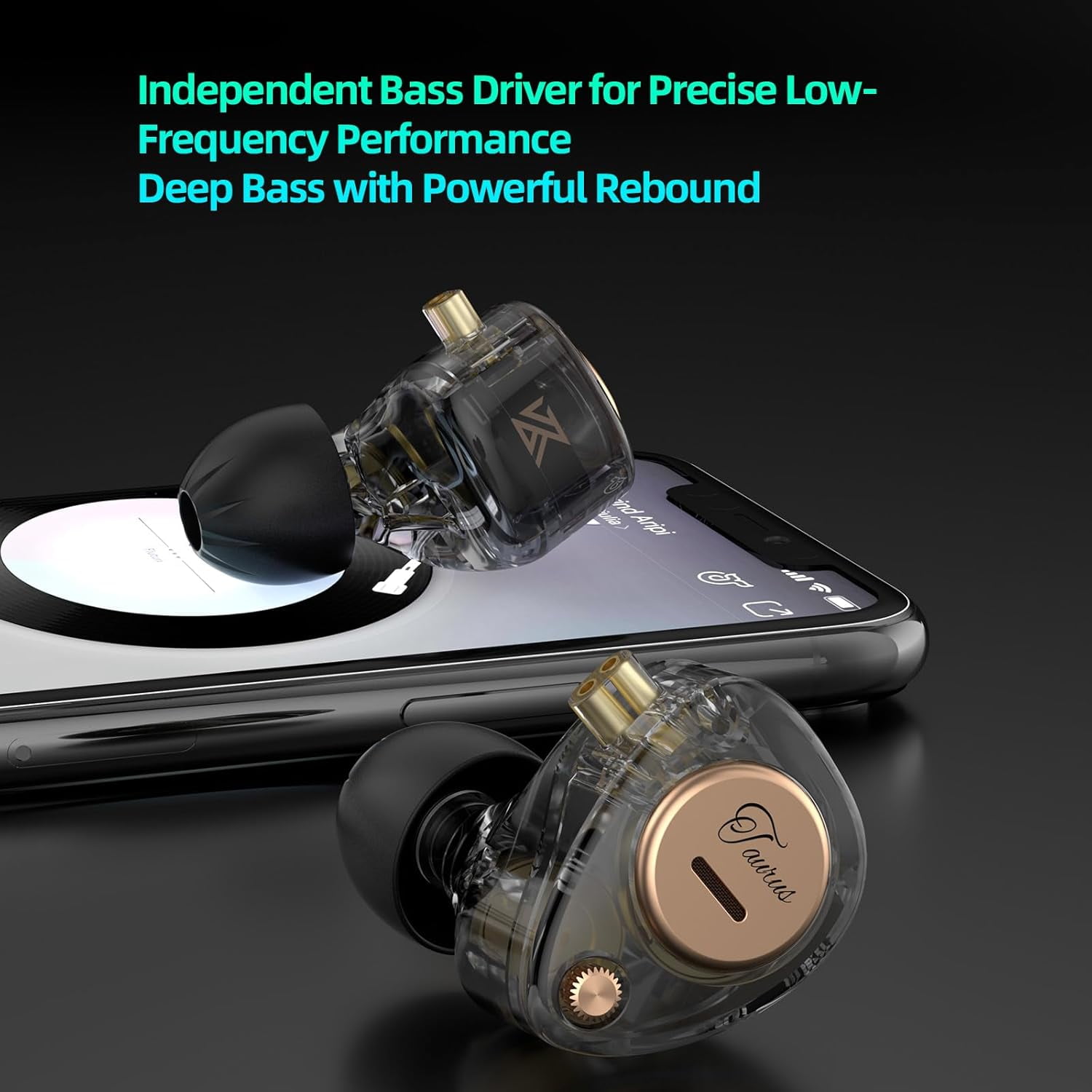 KZ Taurus in Ear Monitor IEM Earbuds, Dual 8mm Dynamic Drivers for Powerful Bass in Ear Headphones, Comfortable Fit iems for Gaming, 2-Pin Gold-Plated Wired Earbuds for Singers (Clear Black, no Mic)